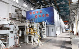 熱點 打好 虧損治理和提質增效 攻堅戰 銀河紙業楊木漿二期項目順利開機投產