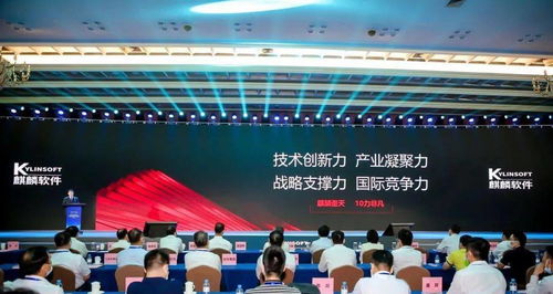 從零到世界矚目 銀河棉業如何織就中國紡織傳奇